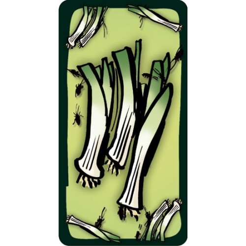 Zupa z karaluchami Karciane G3