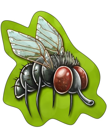 Bzzz… PLASK! Karciane Egmont