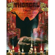 Thorgal - 29 - Ofiara (twarda oprawa) Komiksy fantasy Egmont