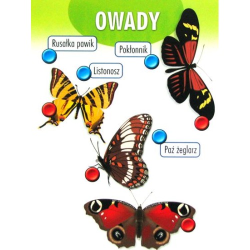 Przyroda - wersja travel Dla dzieci Alexander