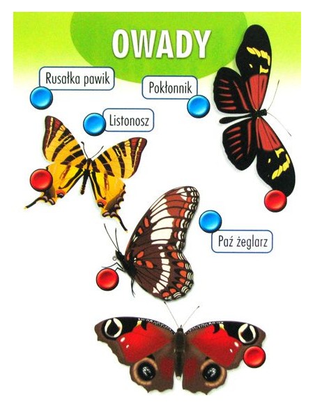 Przyroda - wersja travel Dla dzieci Alexander