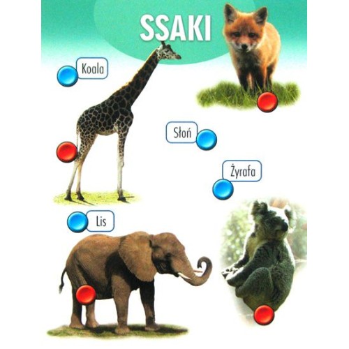Przyroda - wersja travel Dla dzieci Alexander