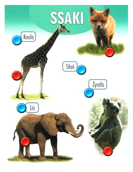 Przyroda - wersja travel Dla dzieci Alexander