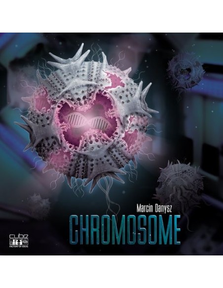 Chromosome Strategiczne CUBE - Factory of Ideas