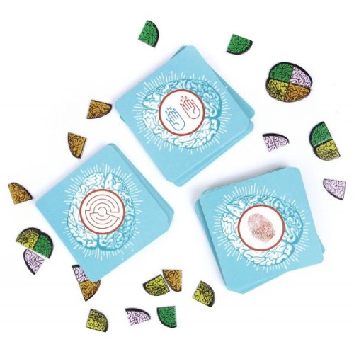 Cortex Logiczne Rebel