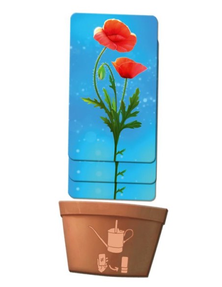 Kwiatki Logiczne Rebel