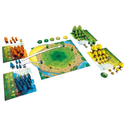 Fotosynteza Rodzinne 2 Pionki