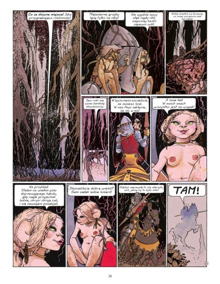 Towarzysze zmierzchu Komiksy fantasy Egmont Towarzysze zmierzchu Komiksy fantasy Egmont