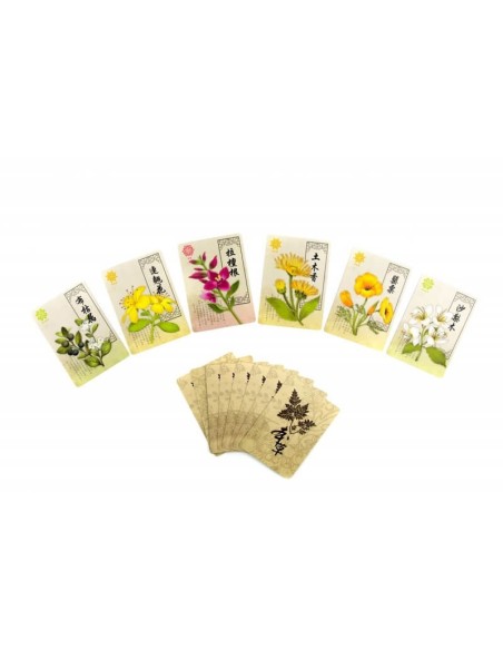 Panaceum Karciane Lucrum Games