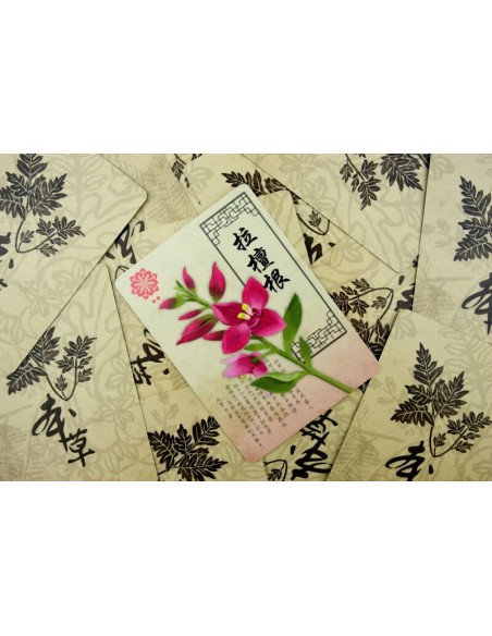 Panaceum Karciane Lucrum Games