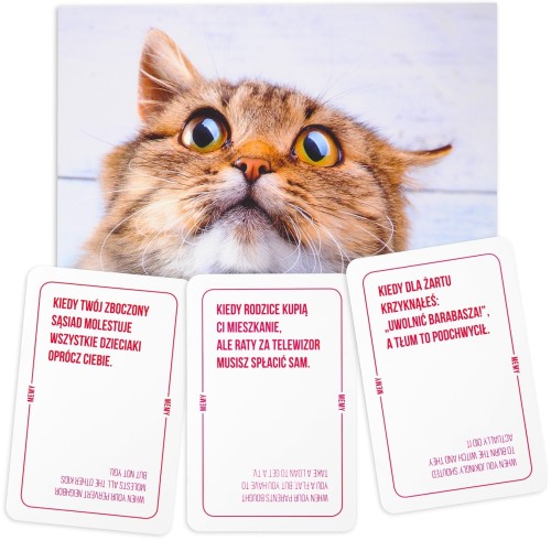 Memy: Imprezowa gra karciana Imprezowe Kojar s.c