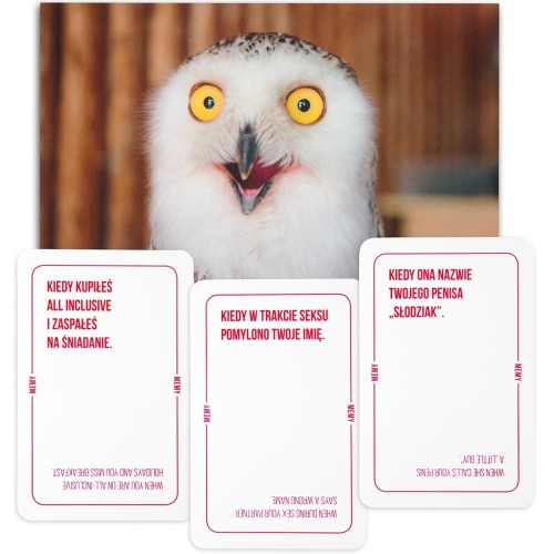 Memy: Imprezowa gra karciana Imprezowe Kojar s.c