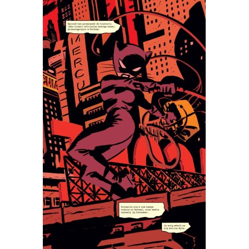 Catwoman. Na tropie Catwoman. Tom 1. Komiksy z uniwersum DC Egmont