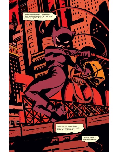 Catwoman. Na tropie Catwoman. Tom 1. Komiksy z uniwersum DC Egmont