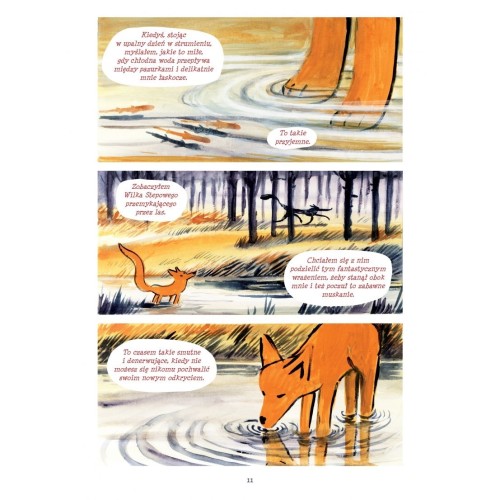 Malutki Lisek i Wielki Dzik. Tamtędy. Tom 4 Komiksy dla dzieci i młodzieży Egmont