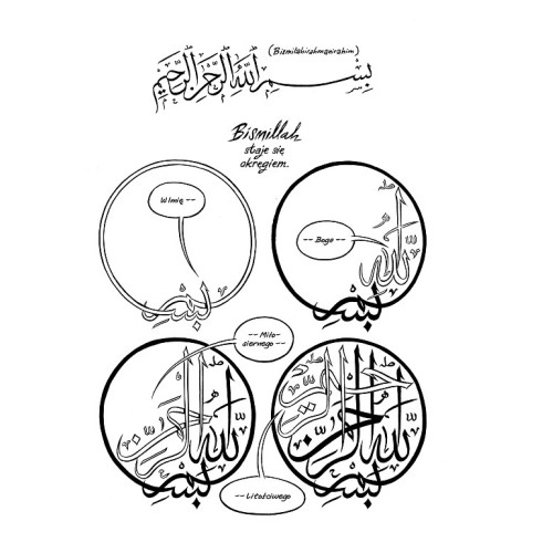 Habibi Komiksy Obyczajowe Timof i cisi wspólnicy