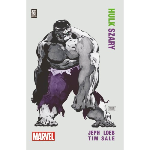 Hulk: Szary Komiksy z uniwersum Marvela Mucha Comics