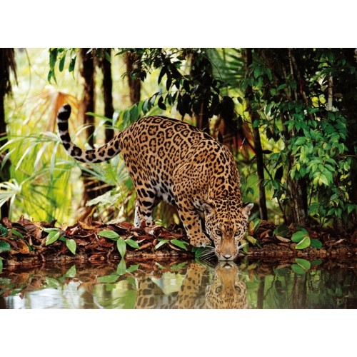 Puzzle 2000 el. Leopard - High Quality Collection High Quality Collection Clementoni