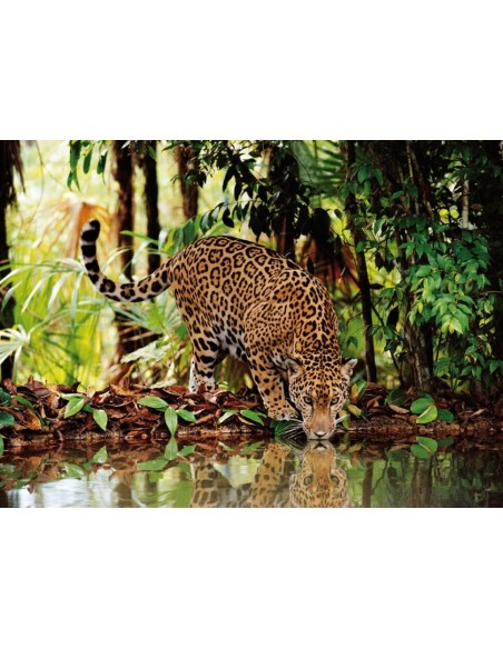 Puzzle 2000 el. Leopard - High Quality Collection High Quality Collection Clementoni