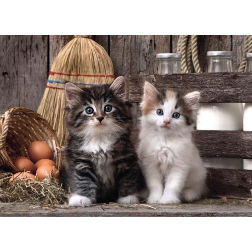 Puzzle 1000 el. Lovely kittens - High Quality Collection High Quality Collection Clementoni