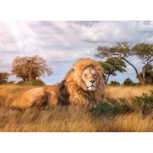 Puzzle 1000 el. The King - High Quality Collection High Quality Collection Clementoni