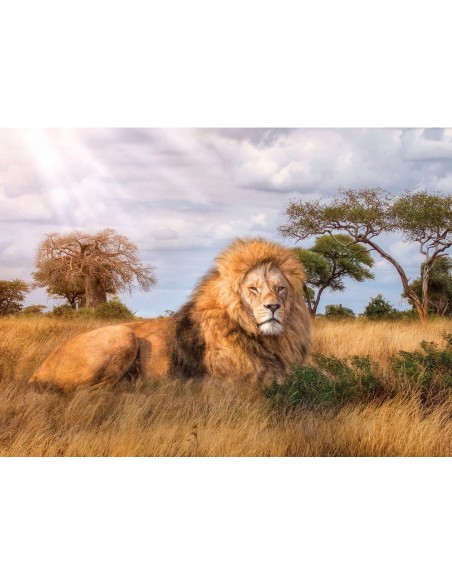 Puzzle 1000 el. The King - High Quality Collection High Quality Collection Clementoni