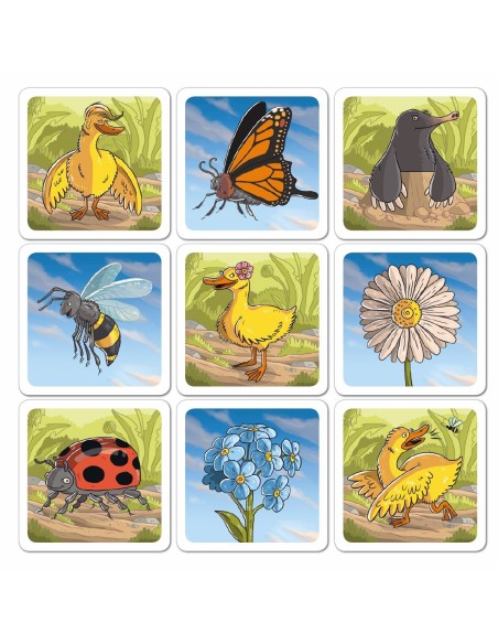 Na łące Dla dzieci Nasza Księgarnia