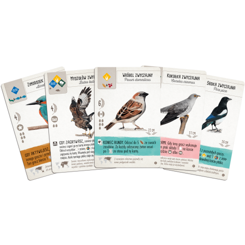 Na skrzydłach: Ptaki Europy Pozostałe gry Rebel