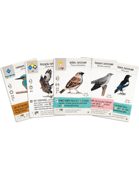 Na skrzydłach: Ptaki Europy Pozostałe gry Rebel