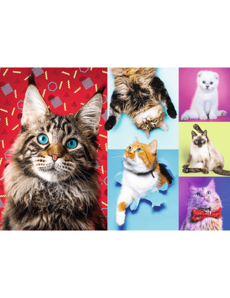 Puzzle 1000 el. Wesołe koty Zwierzęta Trefl
