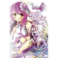 No Game No Life - 2 (light novel).