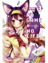 No Game No Life - 3 (light novel). Light novel Waneko