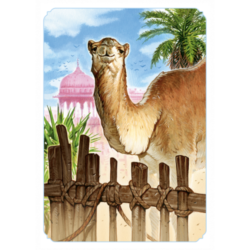 Jaipur (nowa edycja) Karciane Rebel