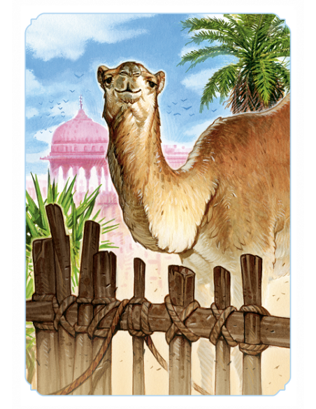 Jaipur (nowa edycja) Karciane Rebel