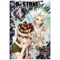 Dr. Stone - 4 shounen Waneko