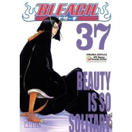 Bleach - 37 - Beauty is so Solitary