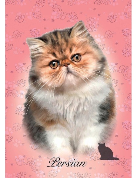 Puzzle 100 el. Koty - Perski Zwierzęta Educa