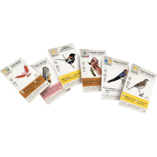 Na skrzydłach: Ptaki Oceanii Pozostałe gry Rebel