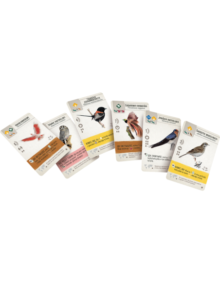 Na skrzydłach: Ptaki Oceanii Pozostałe gry Rebel