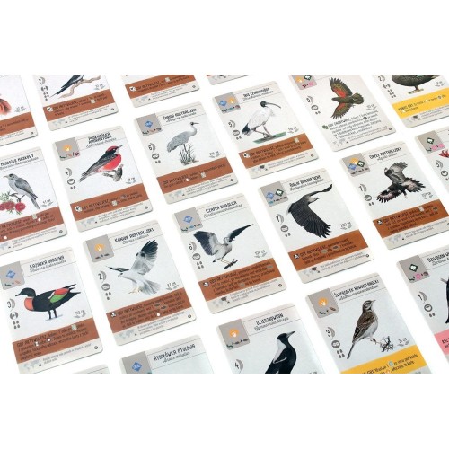 Na skrzydłach: Ptaki Oceanii Pozostałe gry Rebel