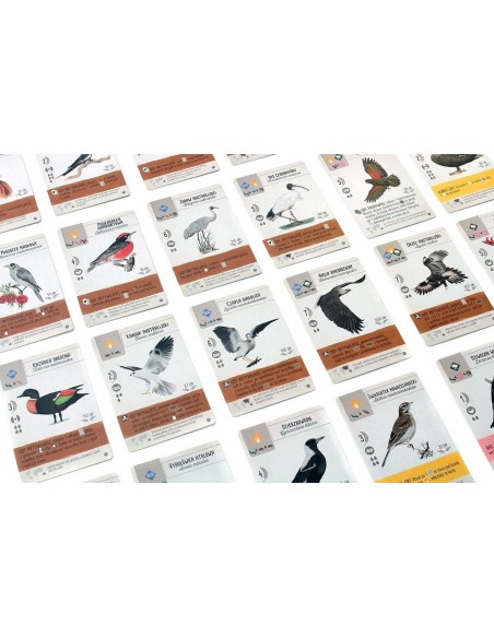 Na skrzydłach: Ptaki Oceanii Pozostałe gry Rebel