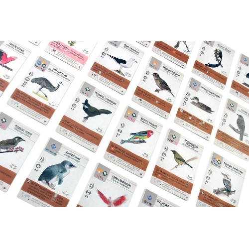 Na skrzydłach: Ptaki Oceanii Pozostałe gry Rebel