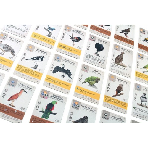 Na skrzydłach: Ptaki Oceanii Pozostałe gry Rebel