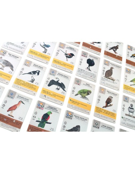 Na skrzydłach: Ptaki Oceanii Pozostałe gry Rebel