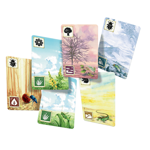 Łąka Rodzinne Rebel