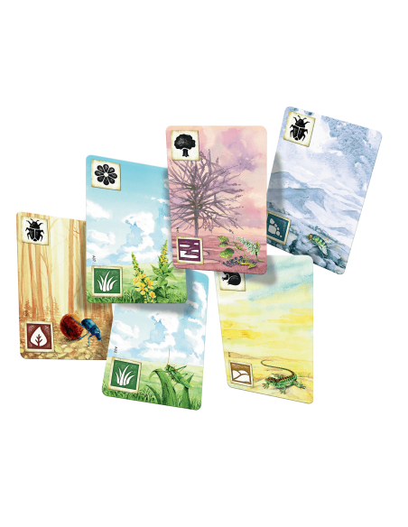 Łąka Rodzinne Rebel