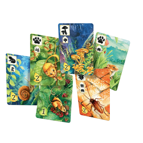 Łąka Rodzinne Rebel