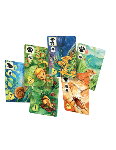 Łąka Rodzinne Rebel