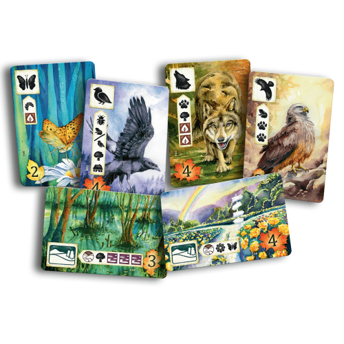 Łąka Rodzinne Rebel