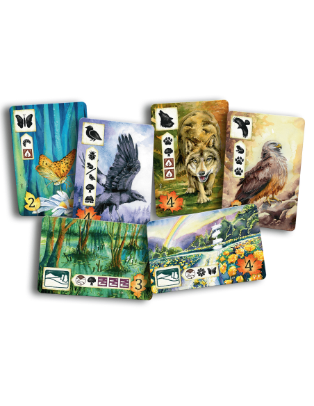 Łąka Rodzinne Rebel